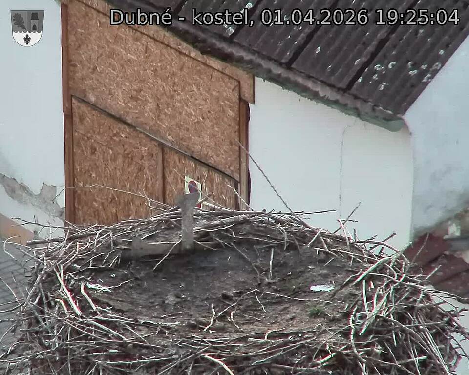 Capi_Dubne_20260401_192504.jpg (1350&nbsp;x&nbsp;1080)