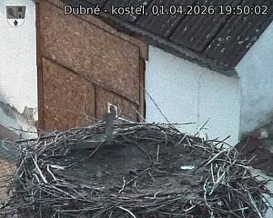 Capi_Dubne_20260401_195002.jpg (1350&nbsp;x&nbsp;1080)