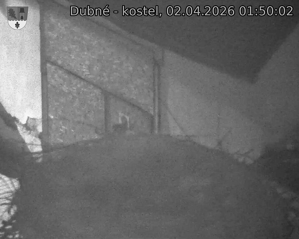 Capi_Dubne_20260402_015002.jpg (1350&nbsp;x&nbsp;1080)