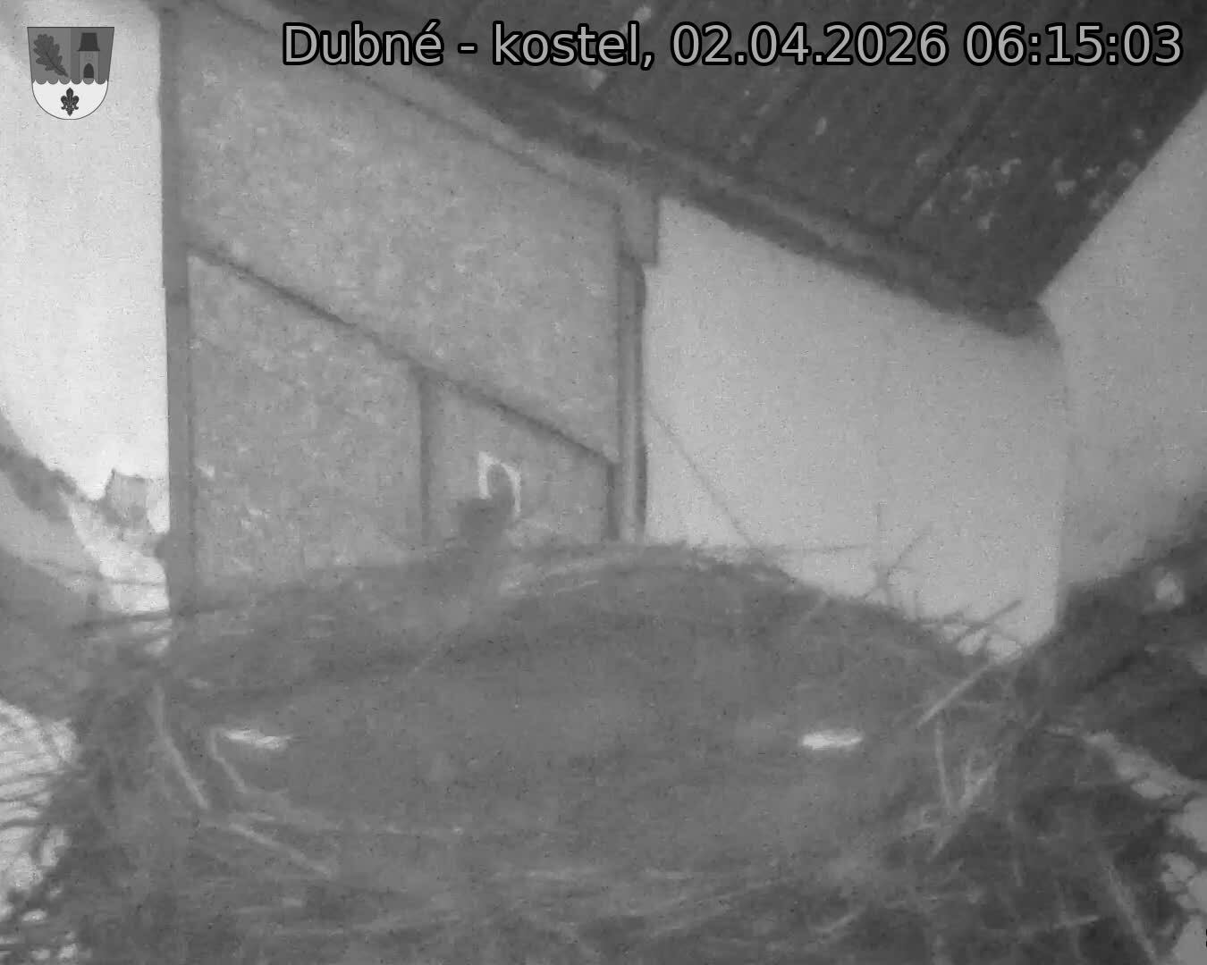 Capi_Dubne_20260402_061503.jpg (1350&nbsp;x&nbsp;1080)