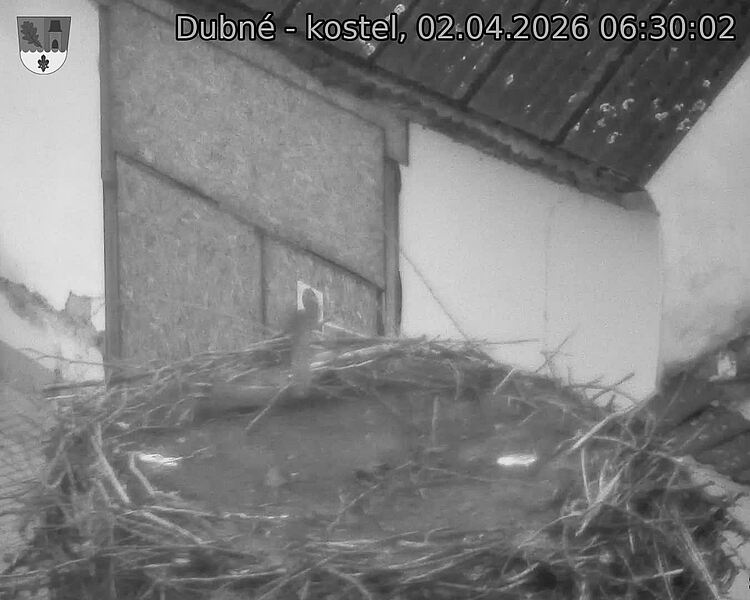 Capi_Dubne_20260402_063002.jpg (1350&nbsp;x&nbsp;1080)