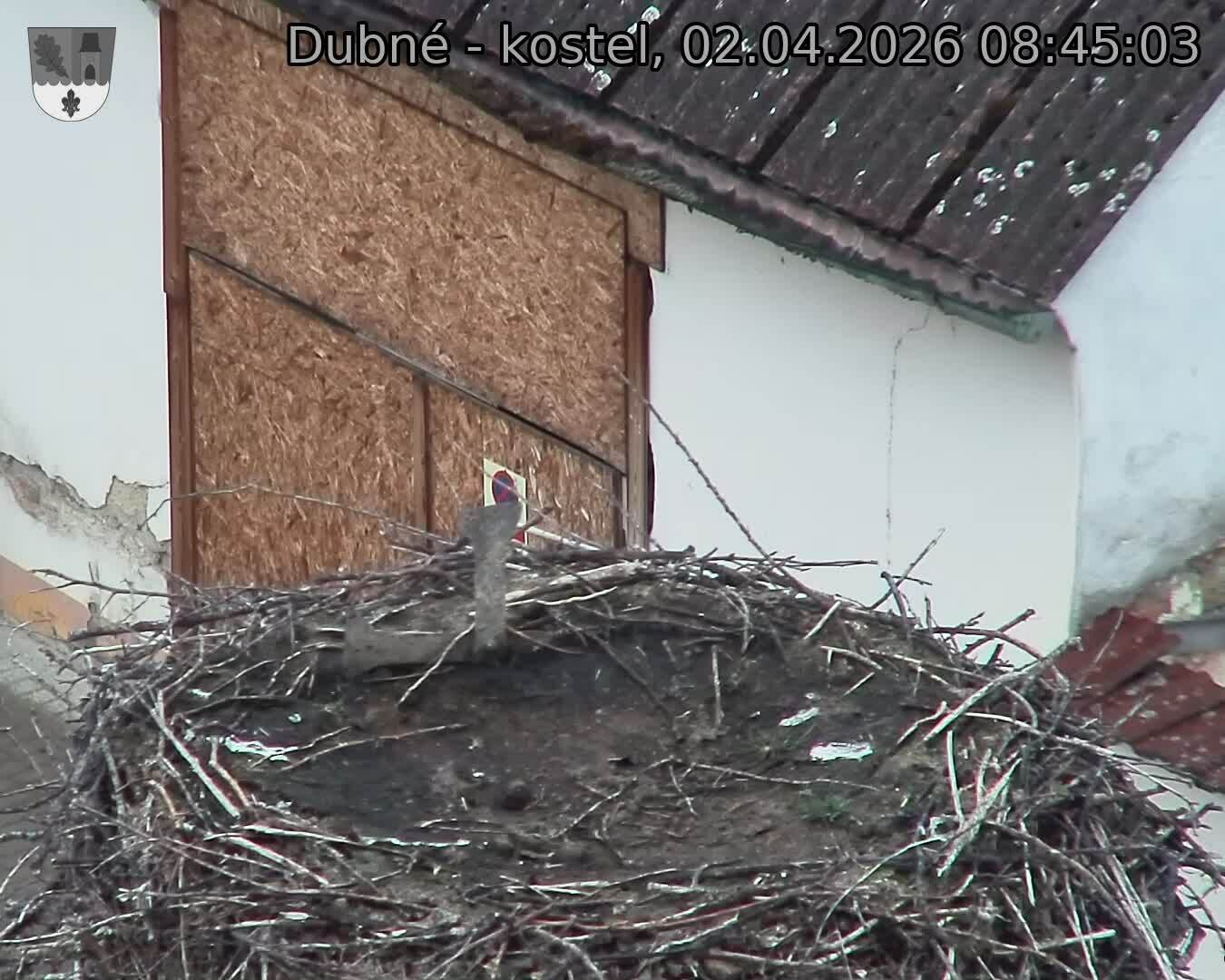 Capi_Dubne_20260402_084503.jpg (1350&nbsp;x&nbsp;1080)