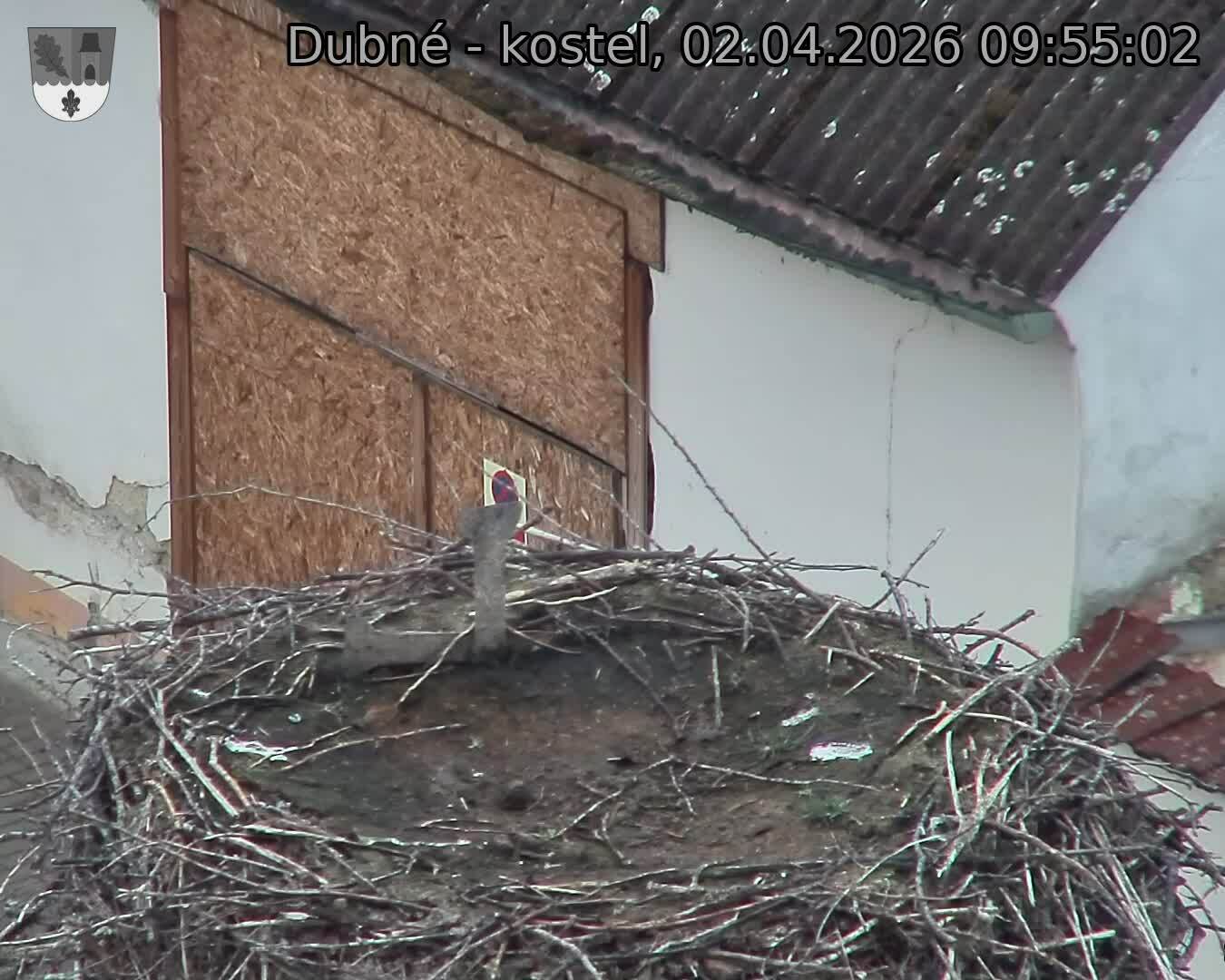 Capi_Dubne_20260402_095502.jpg (1350&nbsp;x&nbsp;1080)