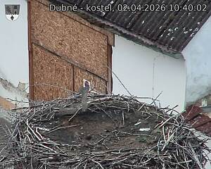 Capi_Dubne_20260402_104002.jpg (1350&nbsp;x&nbsp;1080)