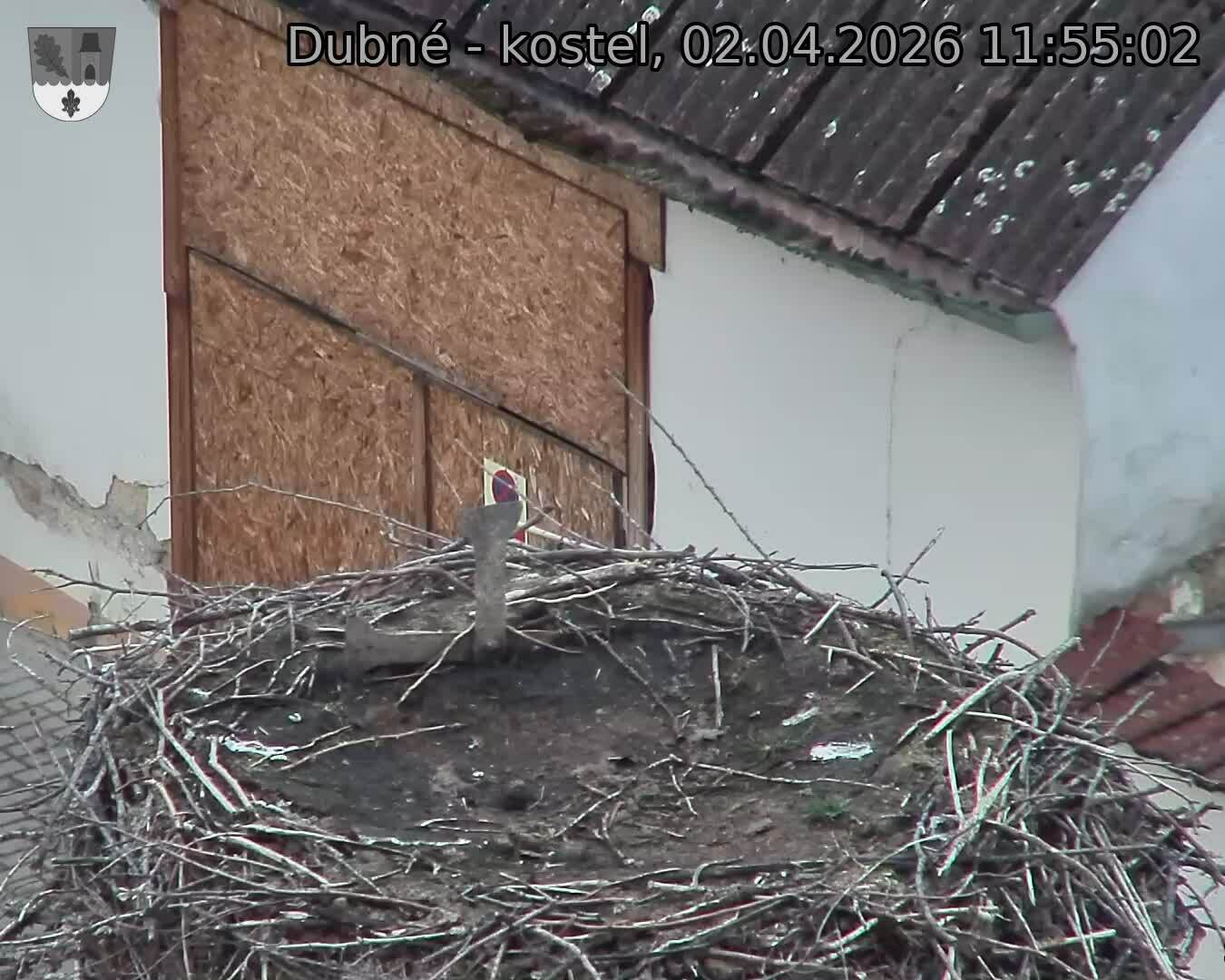 Capi_Dubne_20260402_115502.jpg (1350&nbsp;x&nbsp;1080)