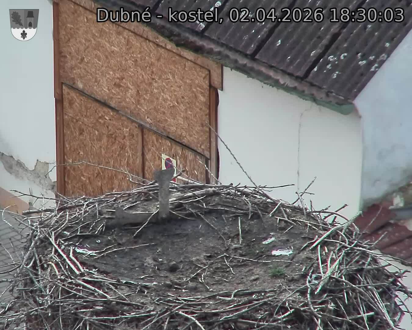 Capi_Dubne_20260402_183003.jpg (1350&nbsp;x&nbsp;1080)