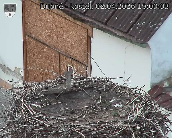 Capi_Dubne_20260402_190003.jpg (1350&nbsp;x&nbsp;1080)