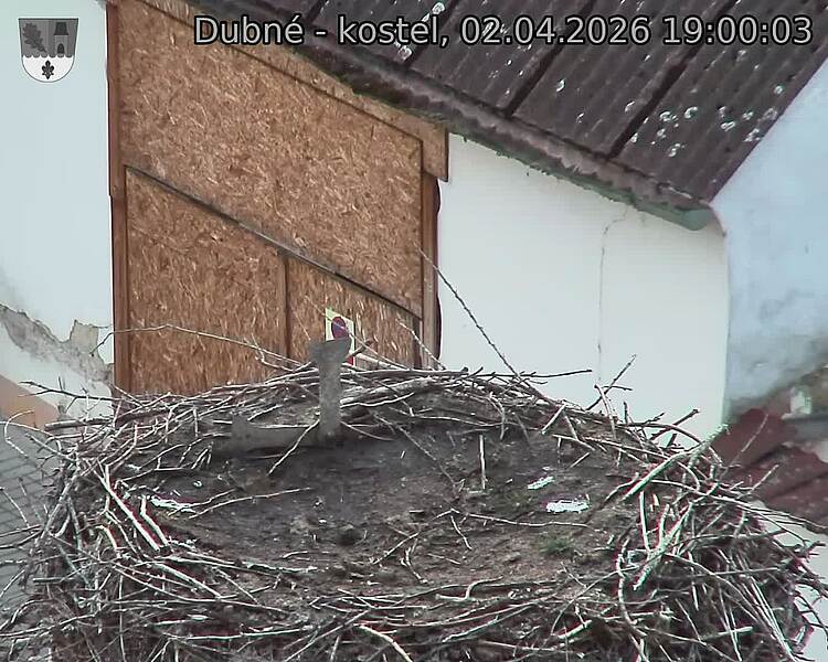 Capi_Dubne_20260402_190003.jpg (1350&nbsp;x&nbsp;1080)