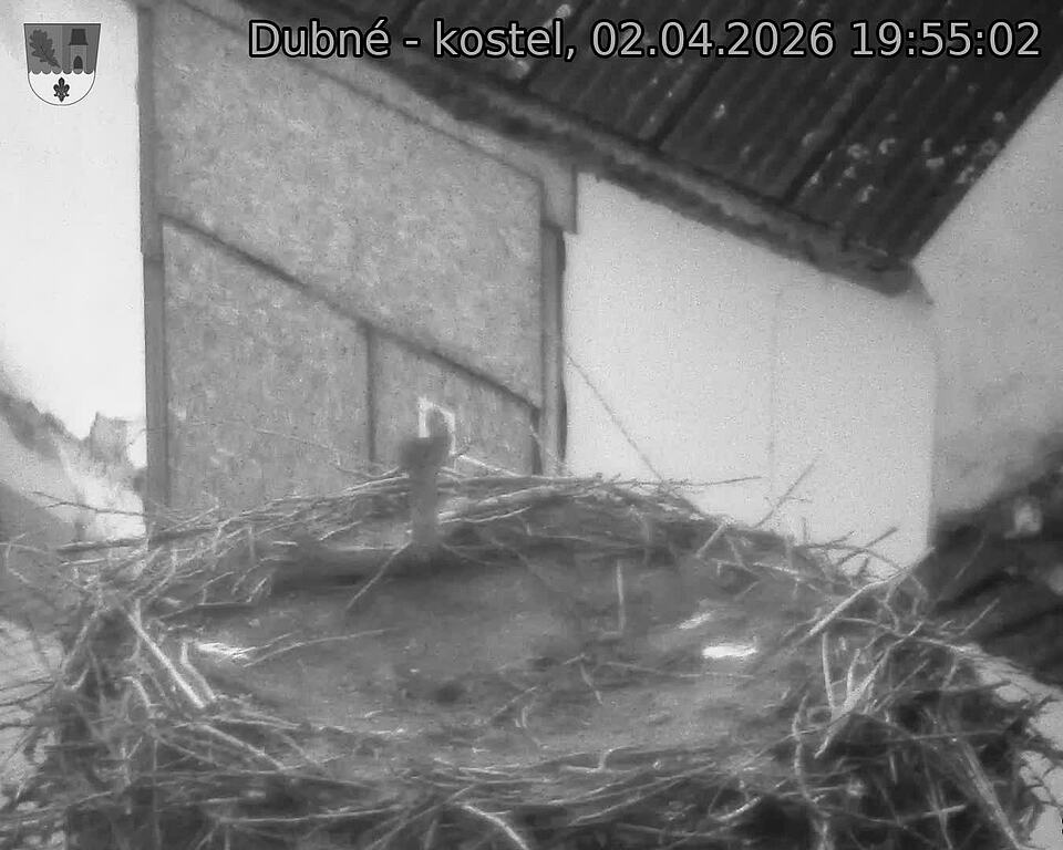 Capi_Dubne_20260402_195502.jpg (1350&nbsp;x&nbsp;1080)