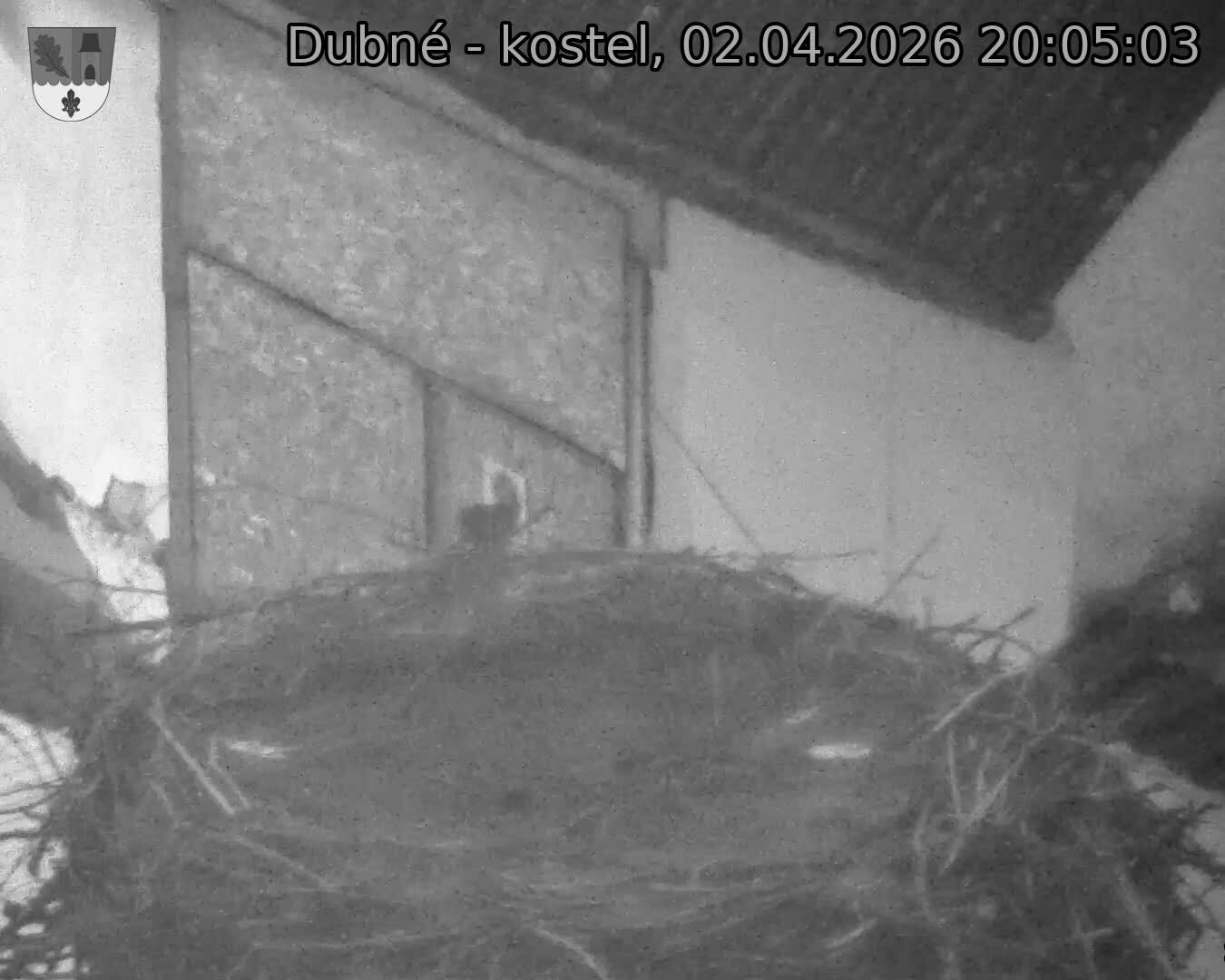 Capi_Dubne_20260402_200503.jpg (1350&nbsp;x&nbsp;1080)