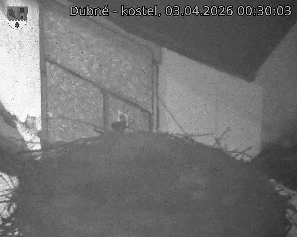 Capi_Dubne_20260403_003003.jpg (1350&nbsp;x&nbsp;1080)