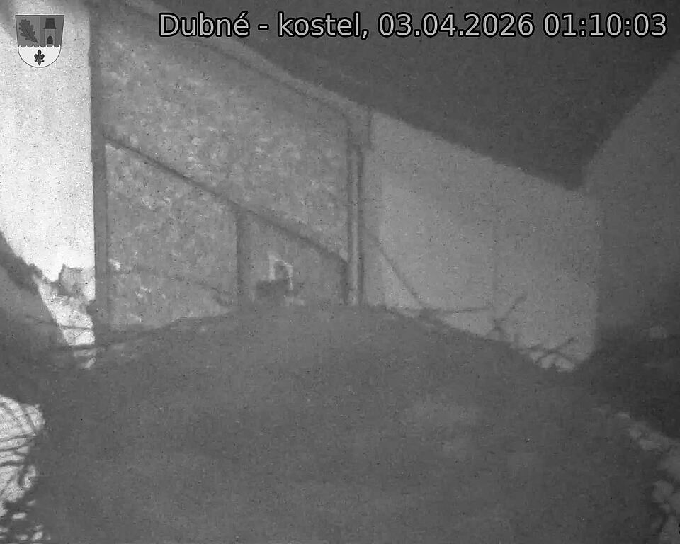 Capi_Dubne_20260403_011003.jpg (1350&nbsp;x&nbsp;1080)