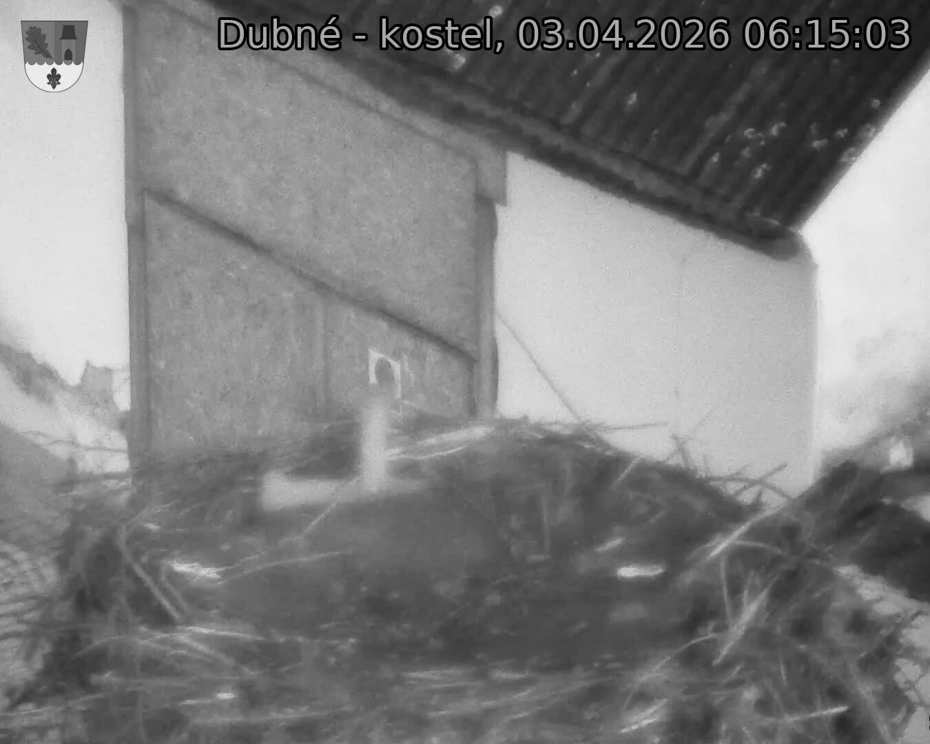Capi_Dubne_20260403_061503.jpg (1350&nbsp;x&nbsp;1080)