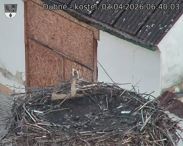 Capi_Dubne_20260403_064003.jpg (1350&nbsp;x&nbsp;1080)