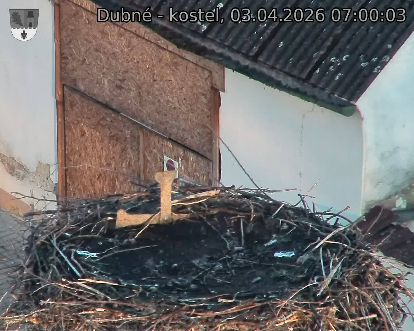 Capi_Dubne_20260403_070003.jpg (1350&nbsp;x&nbsp;1080)