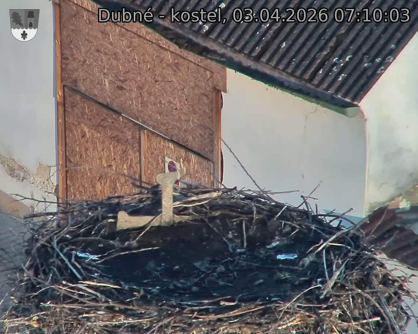 Capi_Dubne_20260403_071003.jpg (1350&nbsp;x&nbsp;1080)