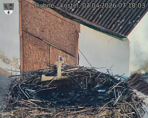 Capi_Dubne_20260403_071003.jpg (1350&nbsp;x&nbsp;1080)