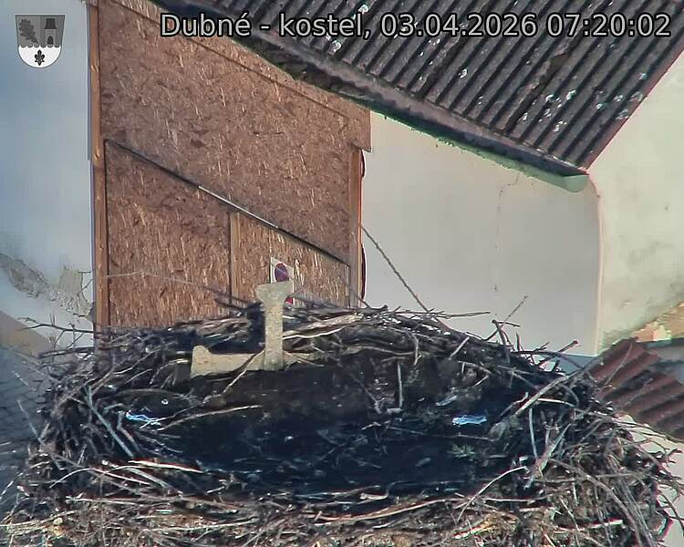 Capi_Dubne_20260403_072002.jpg (1350&nbsp;x&nbsp;1080)