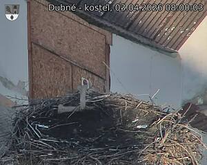 Capi_Dubne_20260403_080003.jpg (1350&nbsp;x&nbsp;1080)