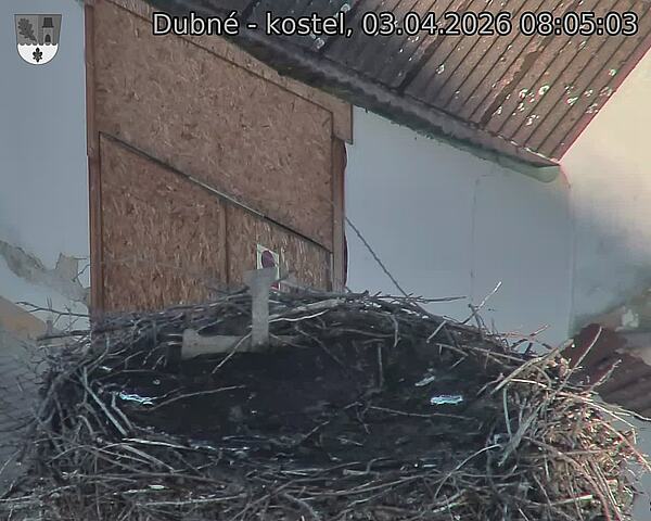 Capi_Dubne_20260403_080503.jpg (1350&nbsp;x&nbsp;1080)