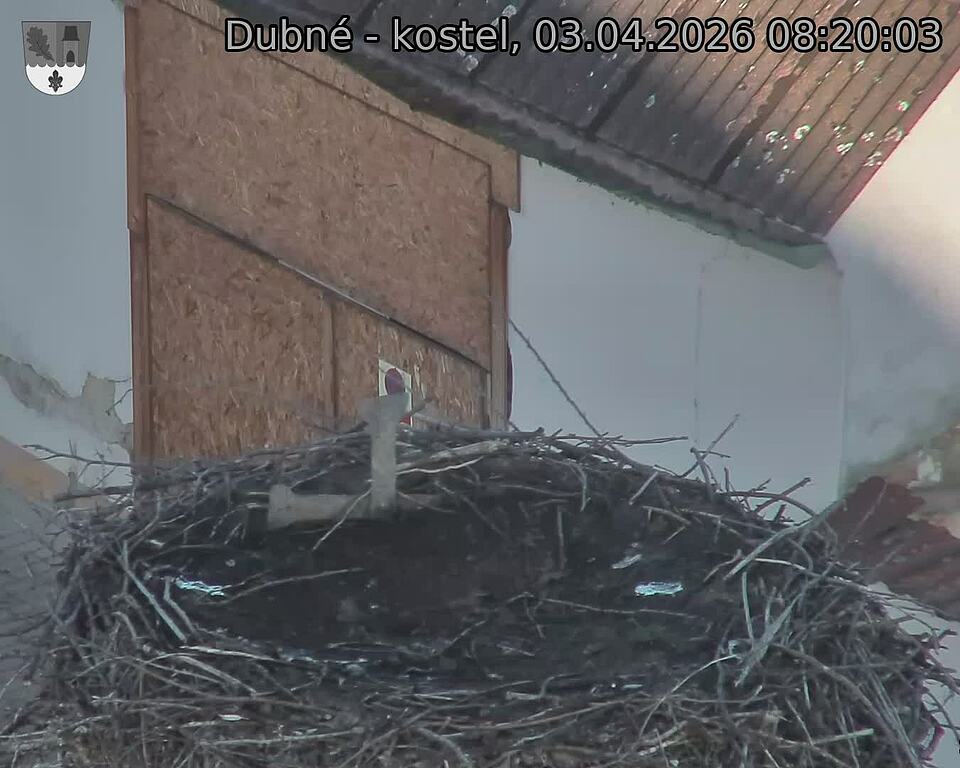Capi_Dubne_20260403_082003.jpg (1350&nbsp;x&nbsp;1080)