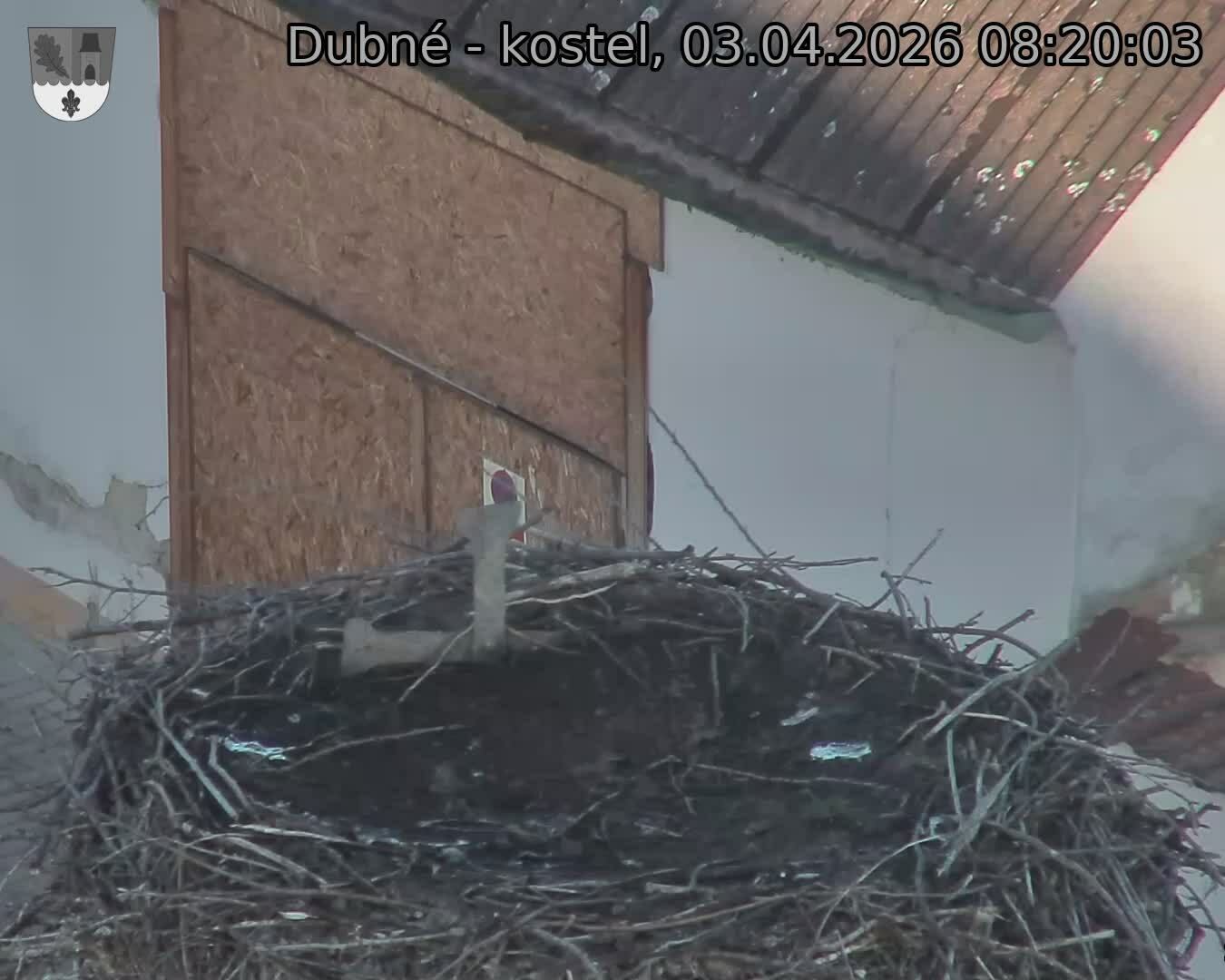 Capi_Dubne_20260403_082003.jpg (1350&nbsp;x&nbsp;1080)