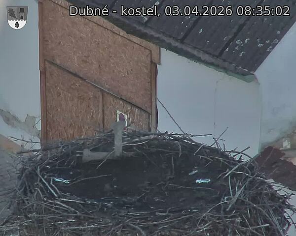 Capi_Dubne_20260403_083502.jpg (1350&nbsp;x&nbsp;1080)