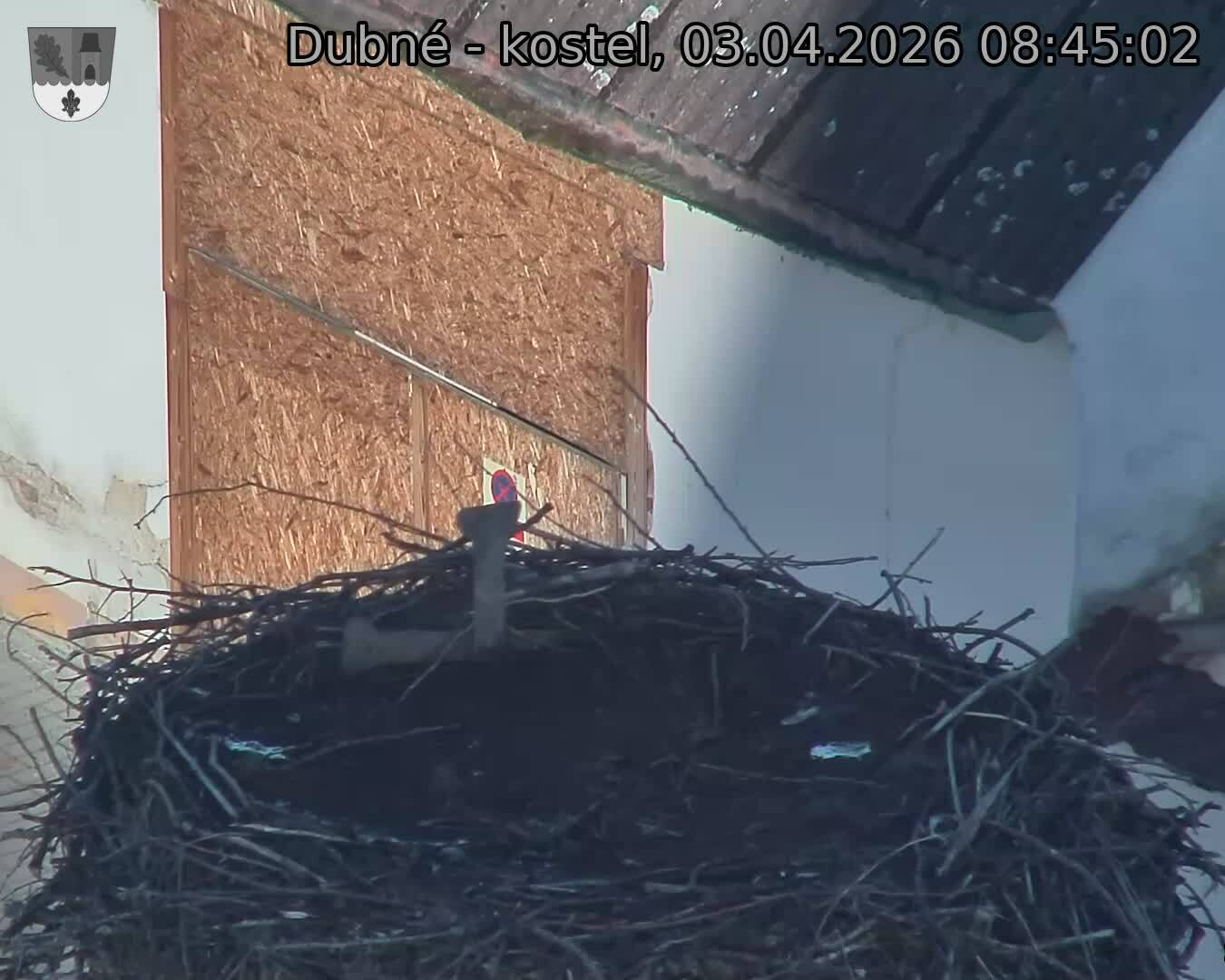 Capi_Dubne_20260403_084502.jpg (1350&nbsp;x&nbsp;1080)