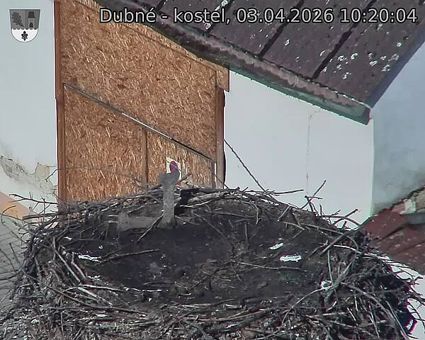 Capi_Dubne_20260403_102004.jpg (1350&nbsp;x&nbsp;1080)