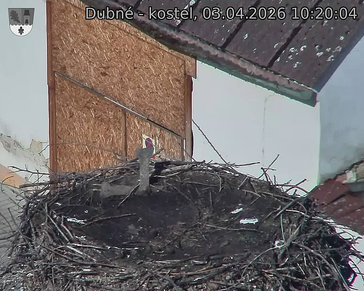 Capi_Dubne_20260403_102004.jpg (1350&nbsp;x&nbsp;1080)