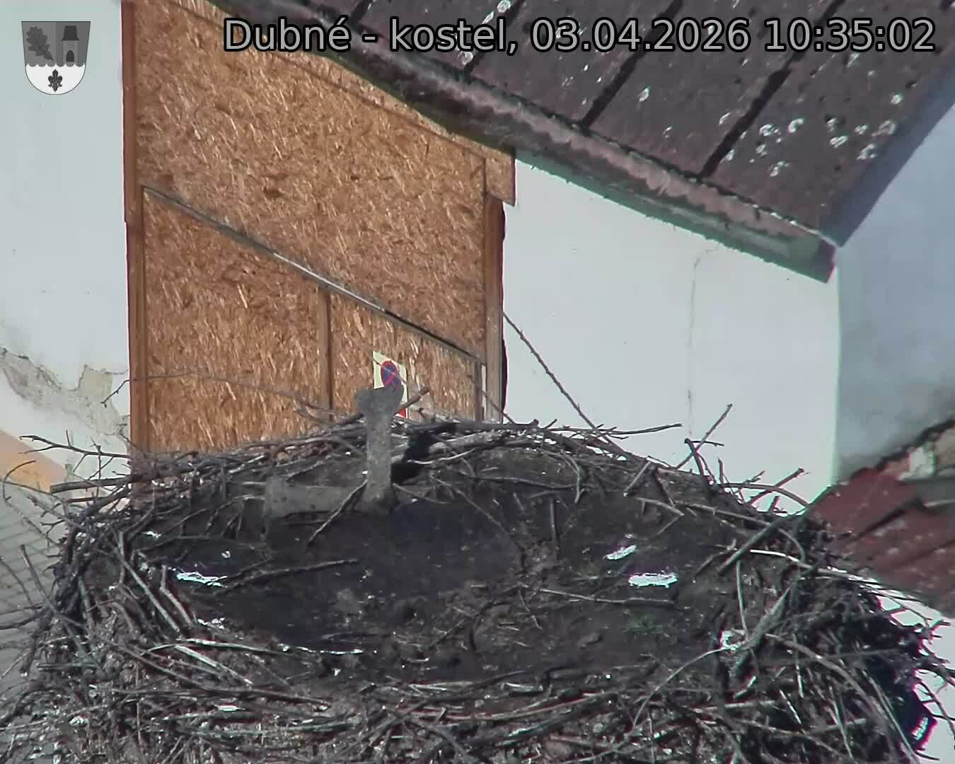 Capi_Dubne_20260403_103502.jpg (1350&nbsp;x&nbsp;1080)