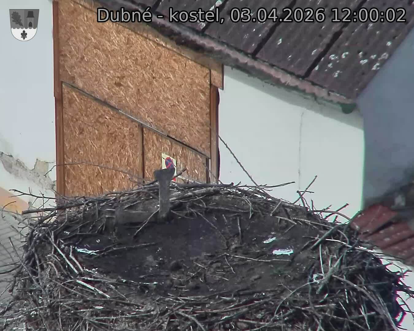 Capi_Dubne_20260403_120002.jpg (1350&nbsp;x&nbsp;1080)