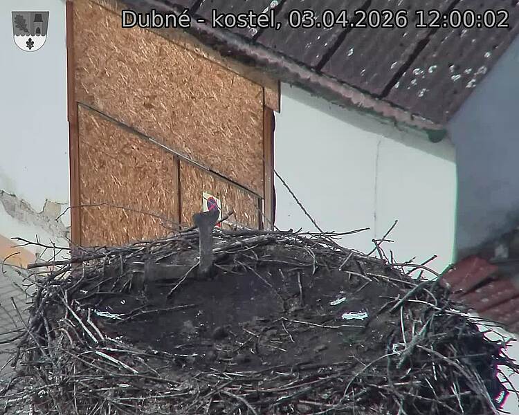 Capi_Dubne_20260403_120002.jpg (1350&nbsp;x&nbsp;1080)