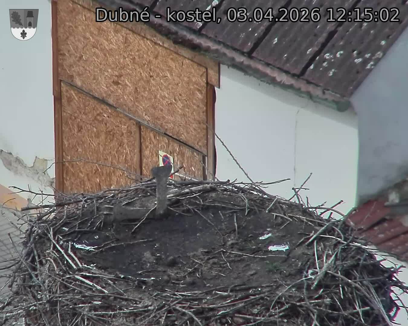 Capi_Dubne_20260403_121502.jpg (1350&nbsp;x&nbsp;1080)