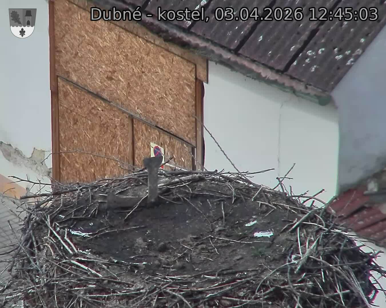 Capi_Dubne_20260403_124503.jpg (1350&nbsp;x&nbsp;1080)