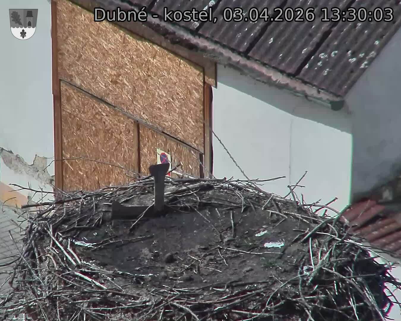 Capi_Dubne_20260403_133003.jpg (1350&nbsp;x&nbsp;1080)