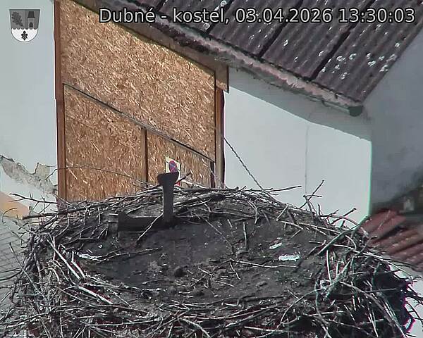 Capi_Dubne_20260403_133003.jpg (1350&nbsp;x&nbsp;1080)