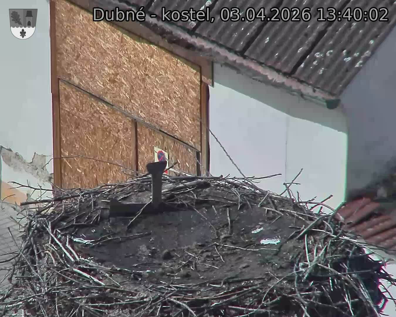 Capi_Dubne_20260403_134002.jpg (1350&nbsp;x&nbsp;1080)