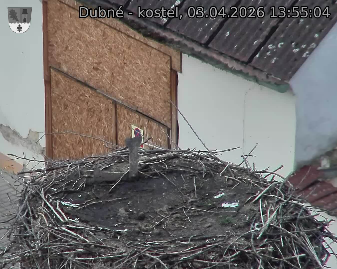 Capi_Dubne_20260403_135504.jpg (1350&nbsp;x&nbsp;1080)