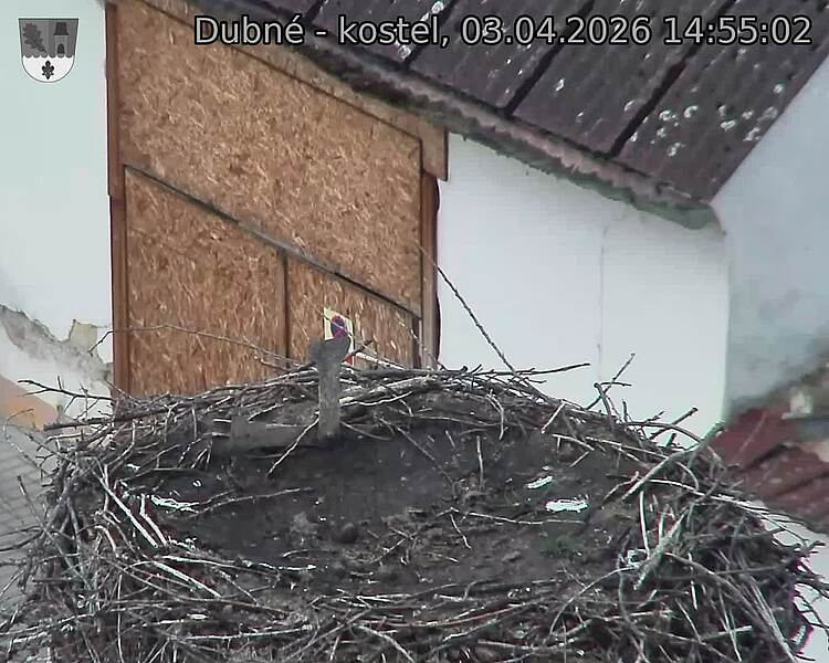 Capi_Dubne_20260403_145502.jpg (1350&nbsp;x&nbsp;1080)