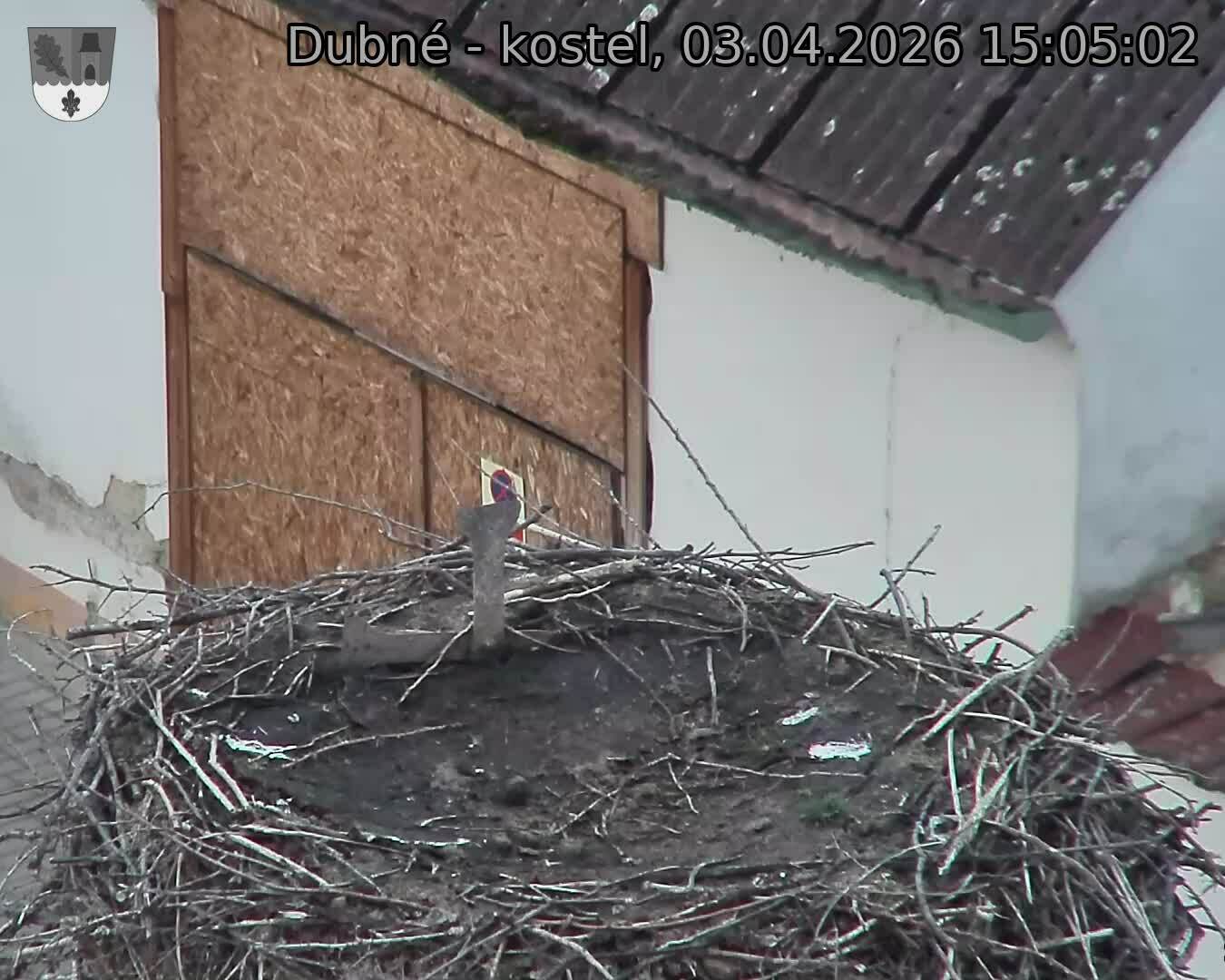 Capi_Dubne_20260403_150502.jpg (1350&nbsp;x&nbsp;1080)