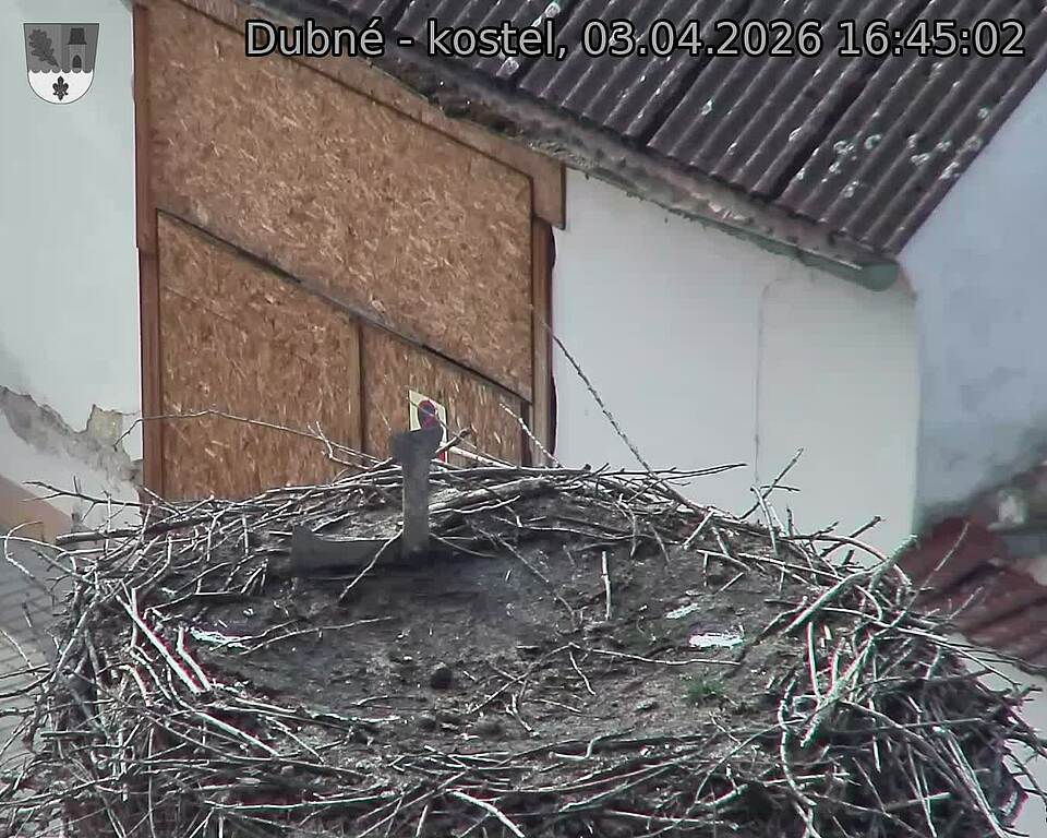 Capi_Dubne_20260403_164502.jpg (1350&nbsp;x&nbsp;1080)