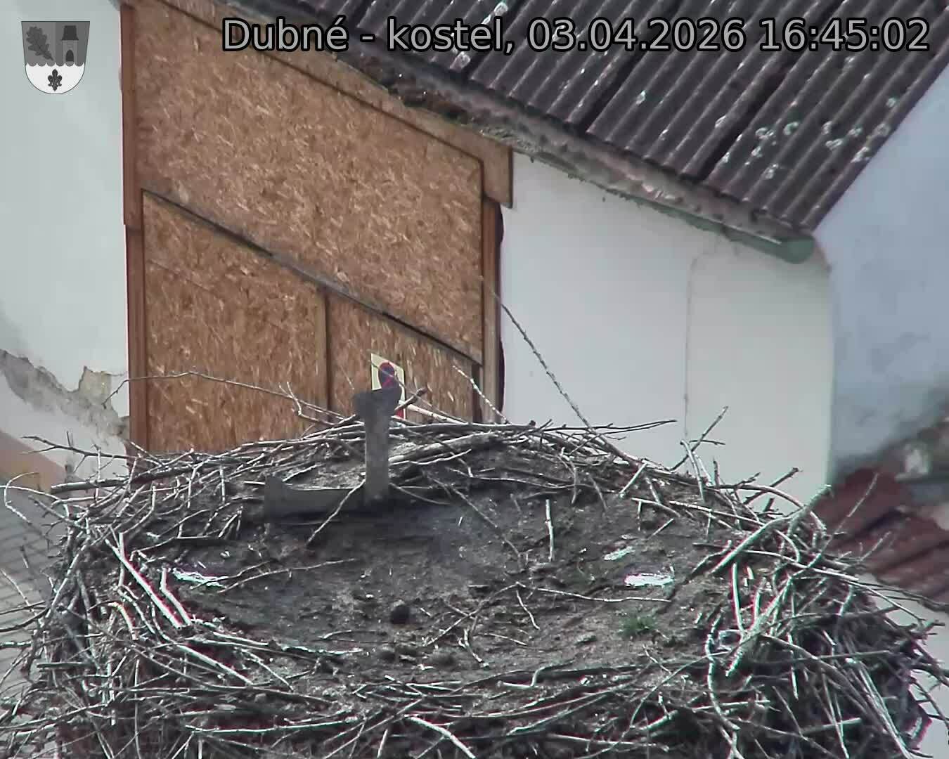 Capi_Dubne_20260403_164502.jpg (1350&nbsp;x&nbsp;1080)
