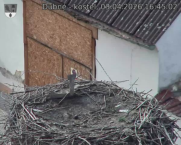 Capi_Dubne_20260403_164502.jpg (1350&nbsp;x&nbsp;1080)