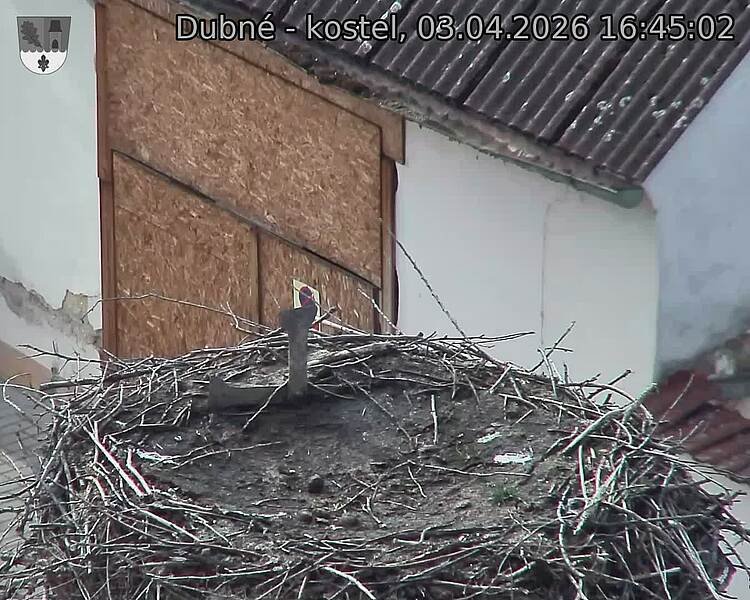 Capi_Dubne_20260403_164502.jpg (1350&nbsp;x&nbsp;1080)