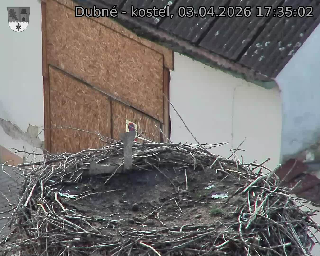 Capi_Dubne_20260403_173502.jpg (1350&nbsp;x&nbsp;1080)
