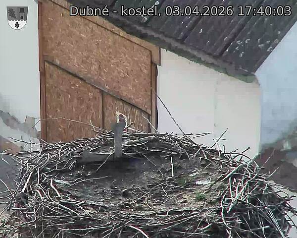 Capi_Dubne_20260403_174003.jpg (1350&nbsp;x&nbsp;1080)