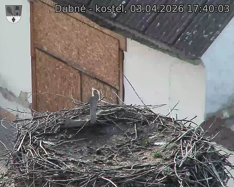 Capi_Dubne_20260403_174003.jpg (1350&nbsp;x&nbsp;1080)