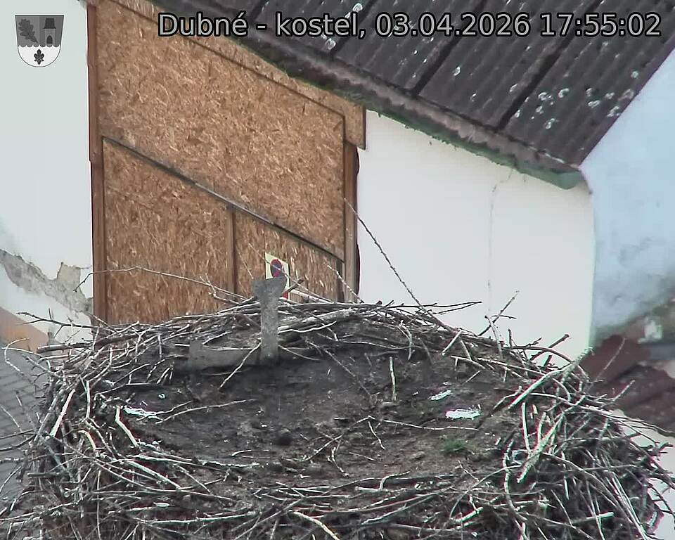 Capi_Dubne_20260403_175502.jpg (1350&nbsp;x&nbsp;1080)