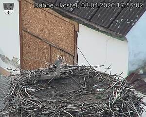 Capi_Dubne_20260403_175502.jpg (1350&nbsp;x&nbsp;1080)